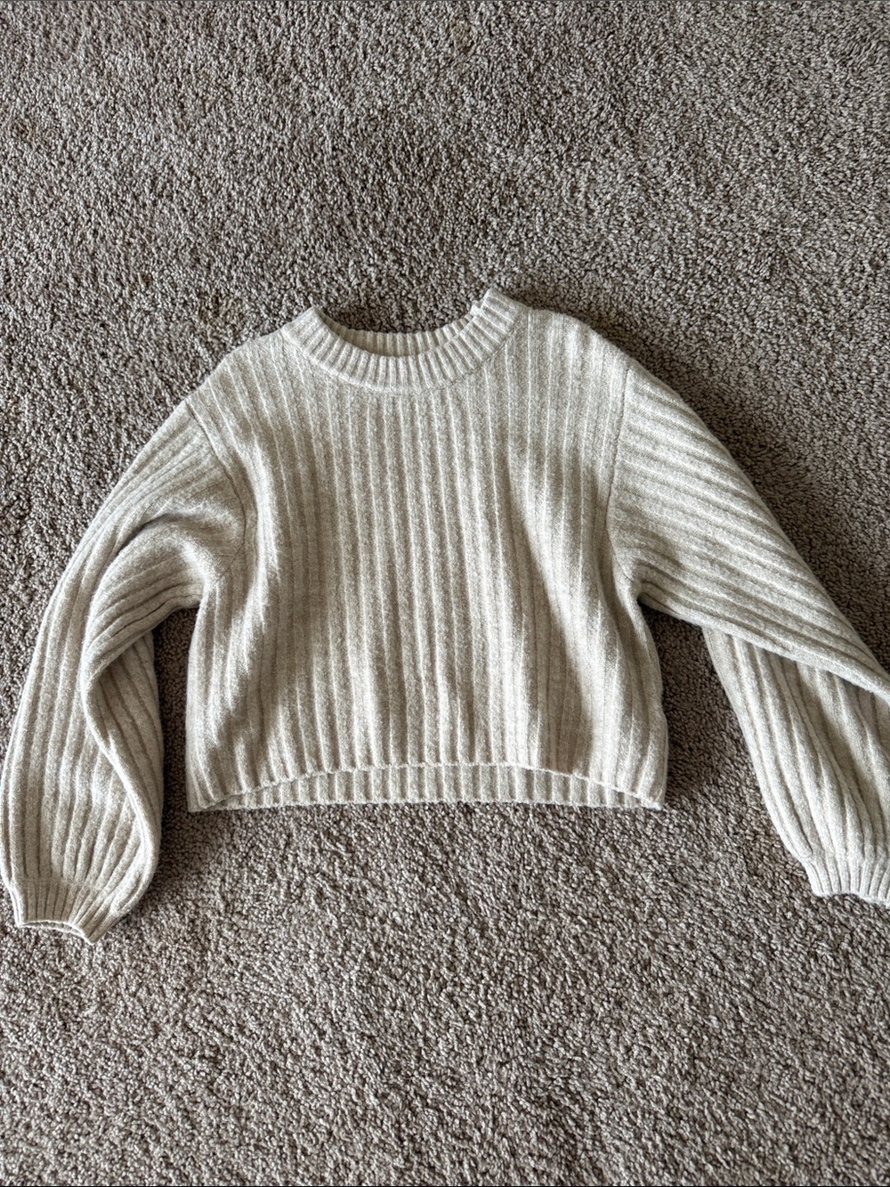 Cropped Ribbed Crewneck Sweater in Light Beige